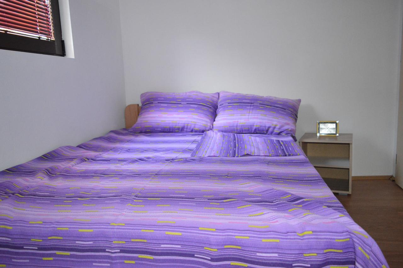 Apartments Stari Jasen Uvac 谢尼察 外观 照片
